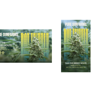 Pure Sunfarms - Daytripper digital static poster
